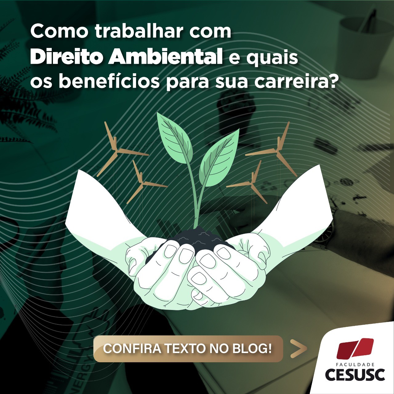 Imagem do Post